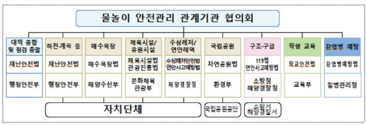 '물놀이 안전관리' 총괄관리체계 구축…재난안전법 개정안 국무회의 통과