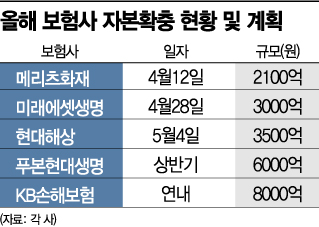 '벌써 2조'…보험사, 올해도 자본확충 안간힘