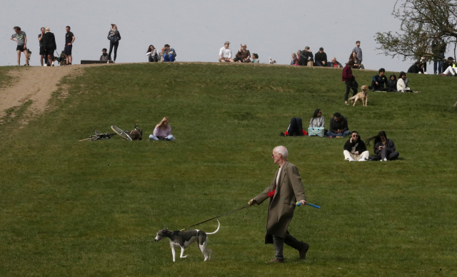 영국 국민들이 공원에서 반려견과 산책하고 있다. 사진은 기사 내용과 직접적인 관계없음. [이미지출처=연합뉴스]