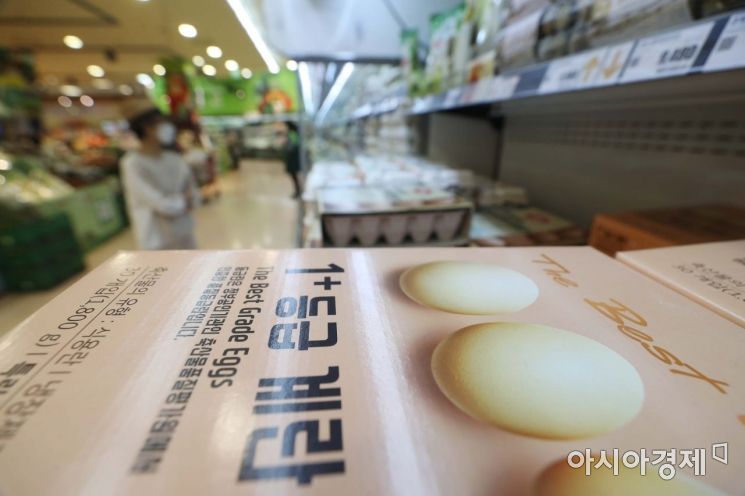 [포토]여전히 비싼 계란 가격 