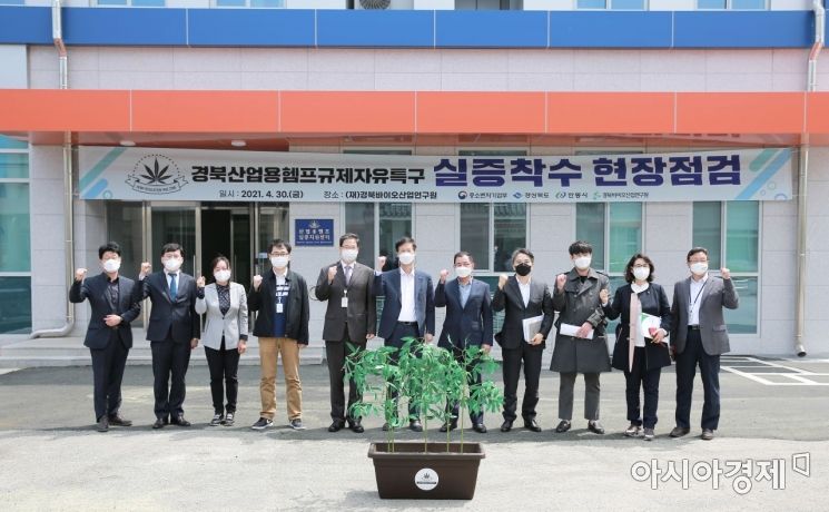 경북도, '헴프 규제자유특구' 산업화 실증 착수 … '마약류' 규제 완화 첫 시도