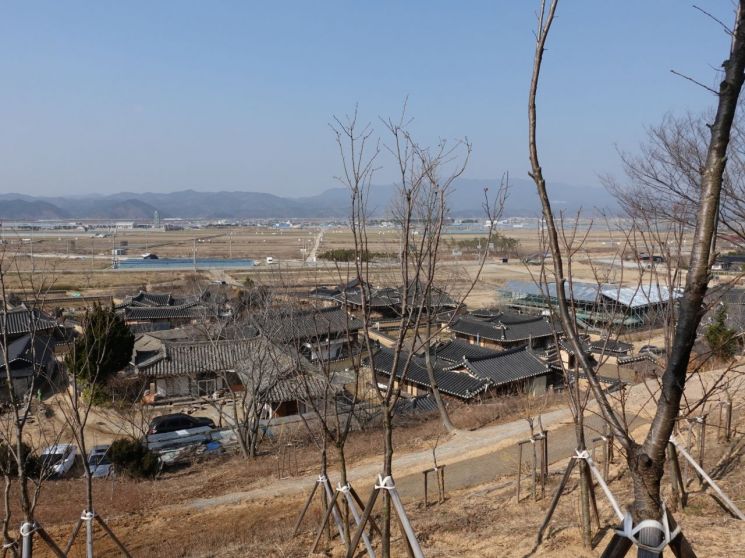 반촌 '영덕 괴시마을' 국가민속문화재 된다
