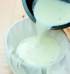 「오늘의 레시피」 과일맛 수제 치즈