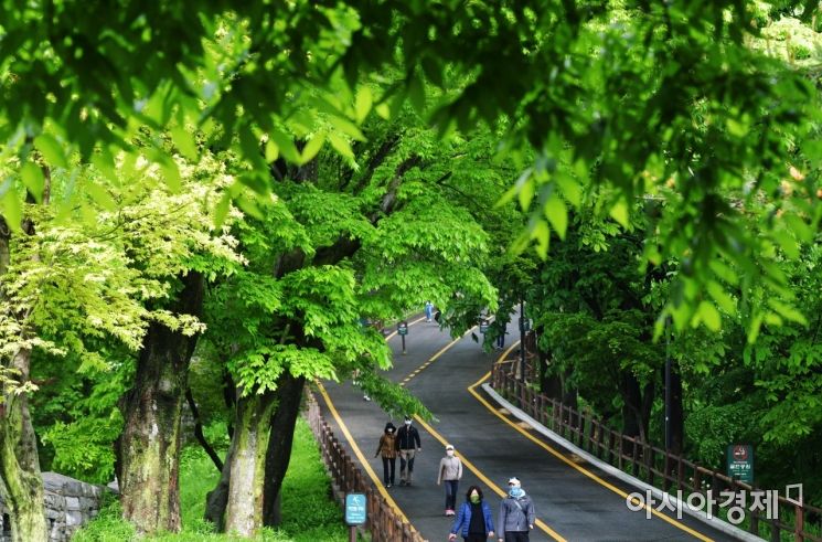 어린이날인 5일 서울 중구 남산공원을 찾은 시민들이 초록색 나무숲 사이를 거닐며 봄의 정취를 만끽하고 있다./윤동주 기자 doso7@
