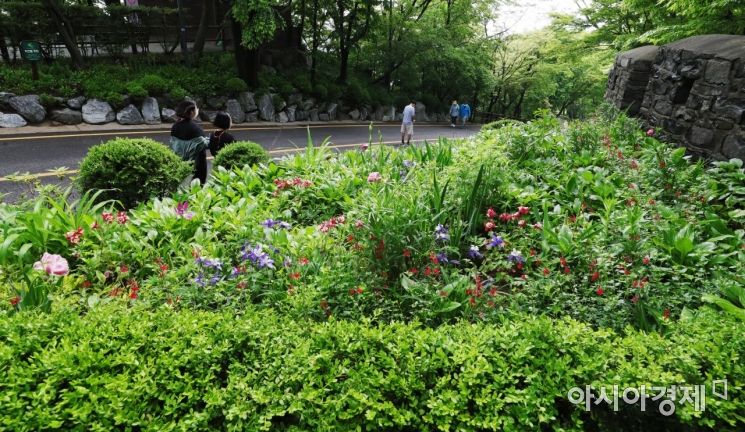 어린이날인 5일 서울 중구 남산공원을 찾은 시민들이 초록색 나무숲 사이를 거닐며 봄의 정취를 만끽하고 있다./윤동주 기자 doso7@