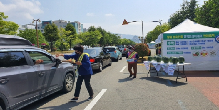 "창원 수박, 올해도 드라이브스루로 만나요"