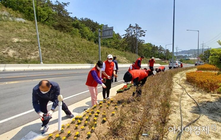 경주시, 감포읍 주요 진입로에 '꽃길' … 주민자치委 회원들 봉사활동