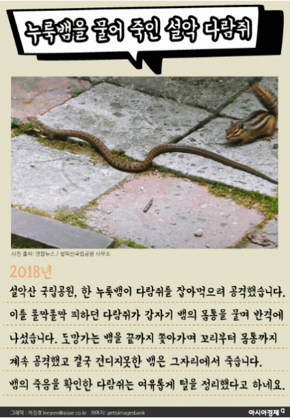 [카드뉴스]독사의 맹독, 토끼의 '모성애' 앞에 무용지물