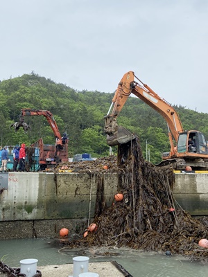 진도군 해상에 표류하고 있는 쓰레기 수거 활동을 했다. (사진=진도군 제공)