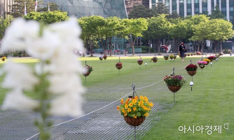 [포토] '행잉 화분' 120개…서울광장에 꽃내음 가득한 꽃길 새 단장