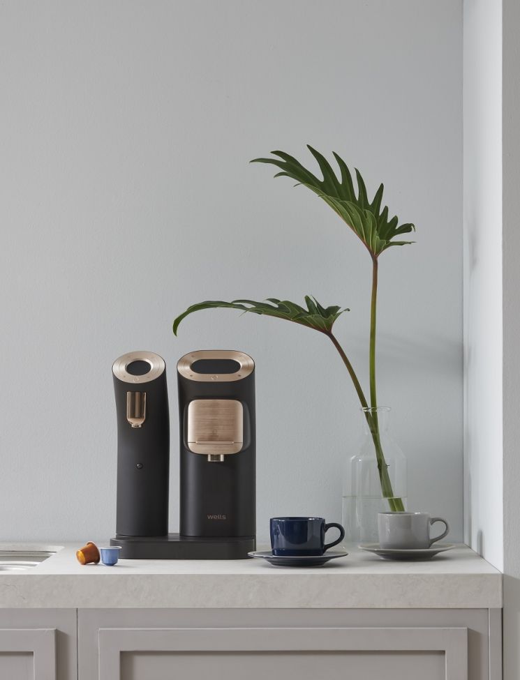 "One is Not Enough" Newlywed Couples Favor Multi Appliances for Household Goods