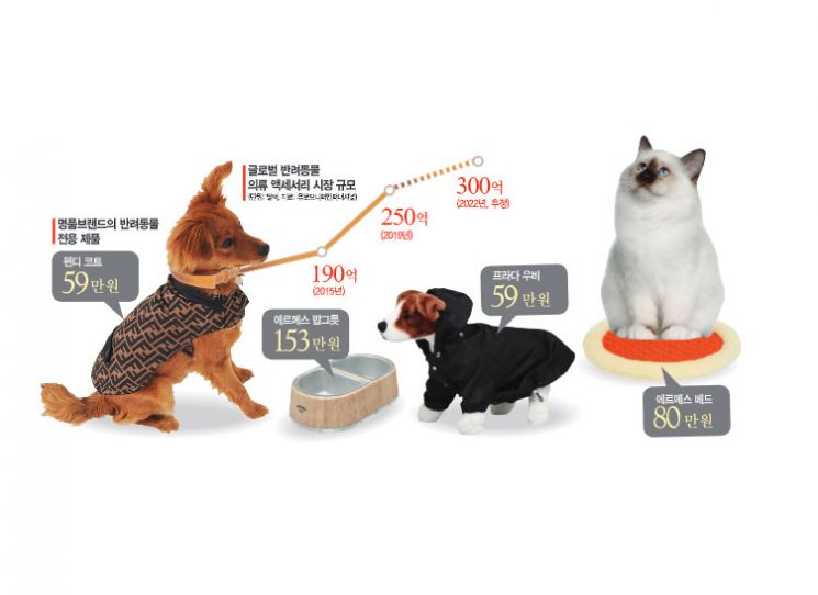 반려견 치장했더니 1000만원 훌쩍…'펫피'는 프라다를 입는다