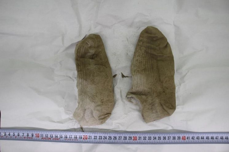 한강 공원에서 실종됐다 숨진채 발견된 손정민(22)군이 신고 있던 양말. 사진=서울경찰청 제공