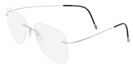 실루엣 안경테 "저명인사의 선택"