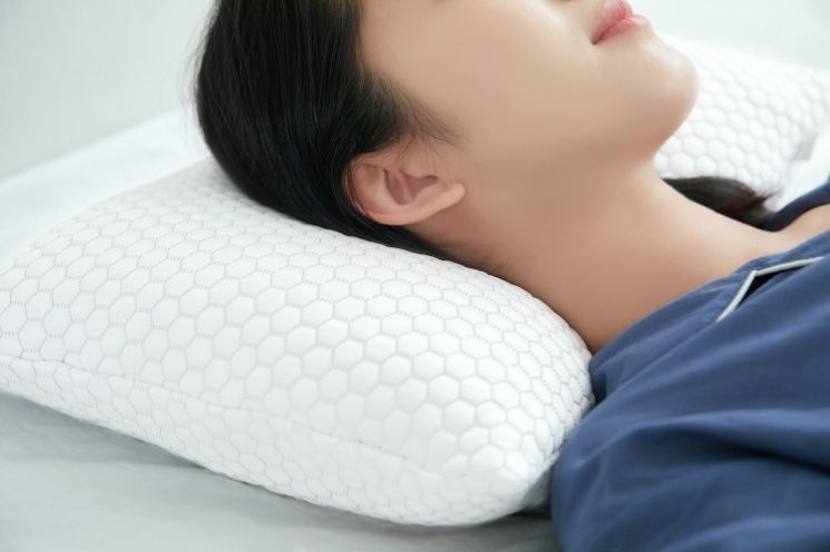 고밀도 메모리폼을 사용한 평소생활 아이스크림 베개. [사진제공=평소생활]