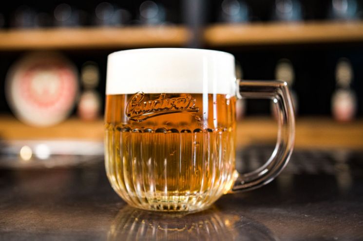 부드바르 맥주 한잔에 담긴 체코의 문화