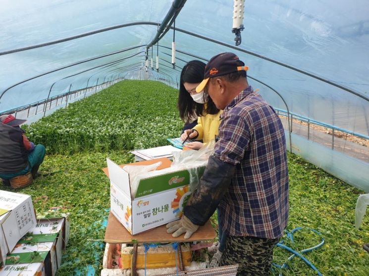 경남 밀양시가 취약 농가에 방문해 농약안전사용 기준을 알려주고 있다.[이미지출처=밀양시]