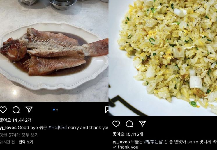 정용진, 영어로 "미안하다 고맙다"…"문 대통령 조롱?" 갑론을박