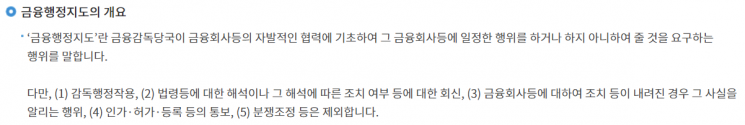 금융행정지도 개요. 사진=금융감독원
