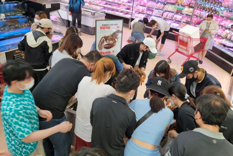 롯데마트, 항공직송 캐나다산 랍스터 할인 판매