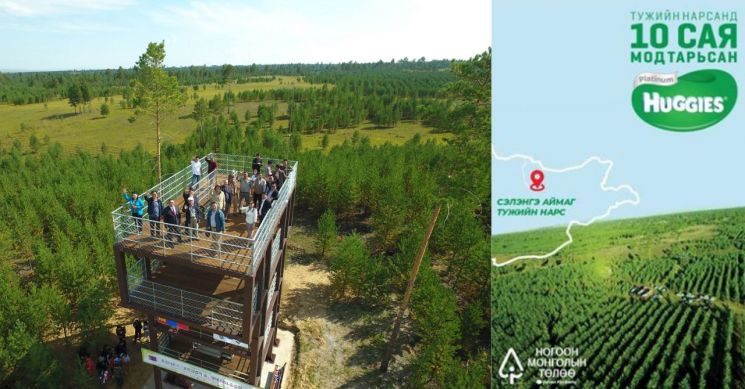 유한킴벌리, 몽골 ‘유한킴벌리숲’ 조성 성과 발표