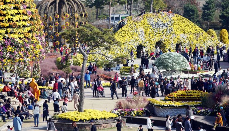Hampyeong-gun to Host 'Korea Chrysanthemum Festival' Scheduled for October