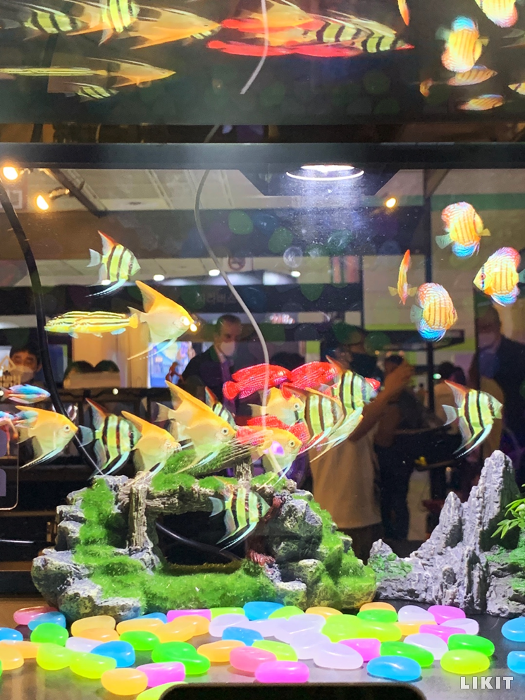 헬로그램이 만든 3D 입체영상 홀로그램 기술을 활용한 수족관. ⓒ라이킷