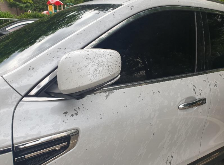 한 누리꾼이 장애인 주차구역에 불법 주차한 차량을 신고했다가 '염산 보복 테러'를 당했다며 올린 사진. 사진=온라인 커뮤니티 캡처