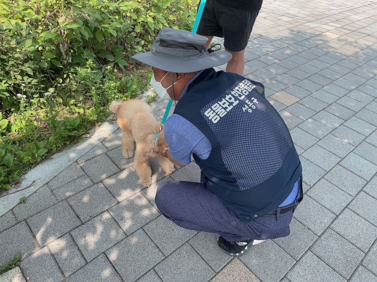 성동구, 동물보호 현장출동반 운영 떠돌이 개 포획한 이유?