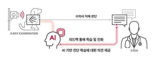 "AI가 동물 엑스레이 판독" SKT-충남대, 수의 영상진단 보조 솔루션 개발