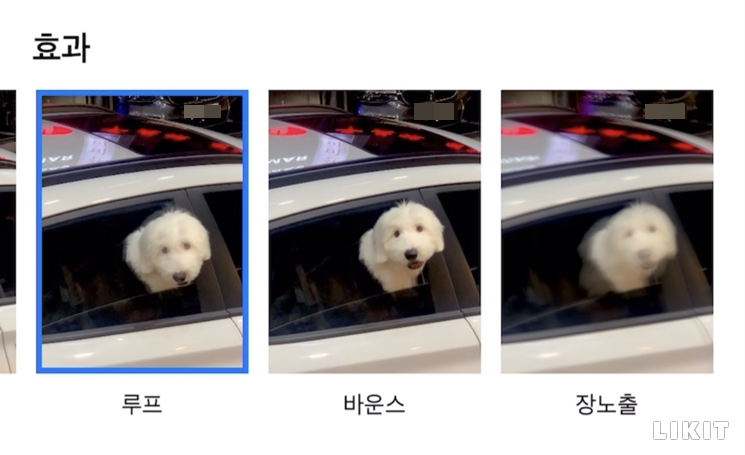 라이브 포토에 원하는 효과를 지정할 수 있다. ⓒ라이킷