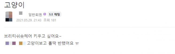 "연예인이 키우는 고양이 뭘까" 번식장 문제 심각한데 품종묘 수요는 여전