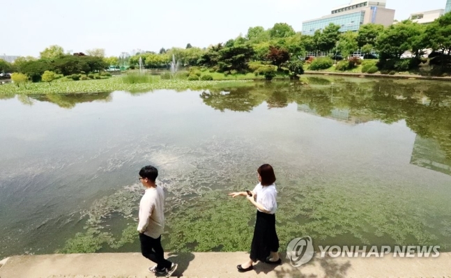 코로나19 백신 접종자들이 1일 마스크를 벗고 산책하고 있다. /사진=연합뉴스