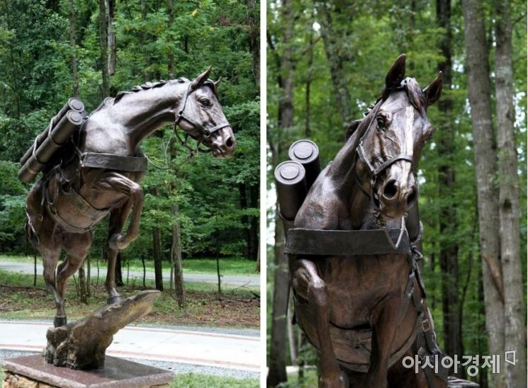 [코리아루트] '미국 100대 영웅'에 선정된 '한국의 말(馬)'