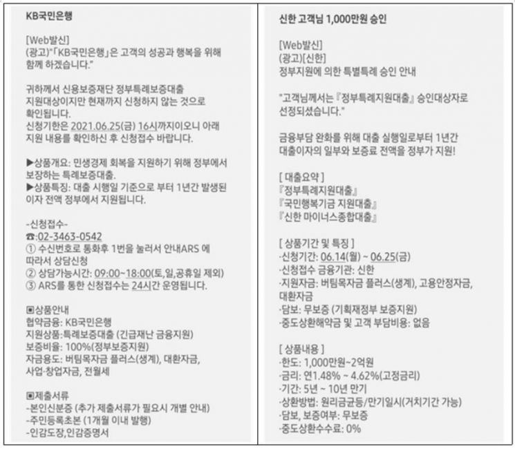 "정부특례보증대출 지원 대상입니다" 불법 스팸광고 속지 마세요