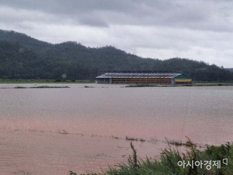 6일 오전 전남 완도군 고금면 한 마을에 폭우가 내린 가운데 한 마을 일대가 침수돼 물이 성인 무릎 높이까지 차올라 있다.사진=독자제공