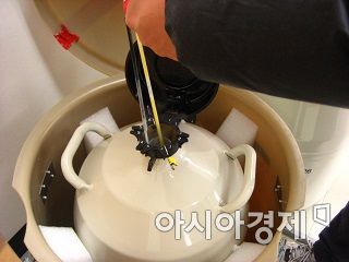 승용마 동결 정액 보존 [경기도 제공]