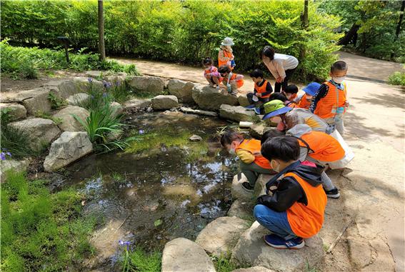 경남 김해시 한 연못에서 아이들이 체험활동을 하고 있다.[이미지출처=김해시]