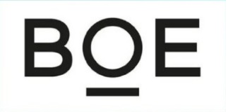 LCD 덕 본 中 BOE, 상반기 순익 10배 증가…하반기엔 변화 맞을까