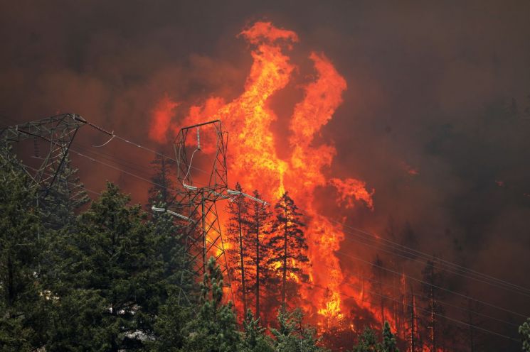 美 서부 전역으로 퍼지는 대규모 산불...12개주 경보 발령 