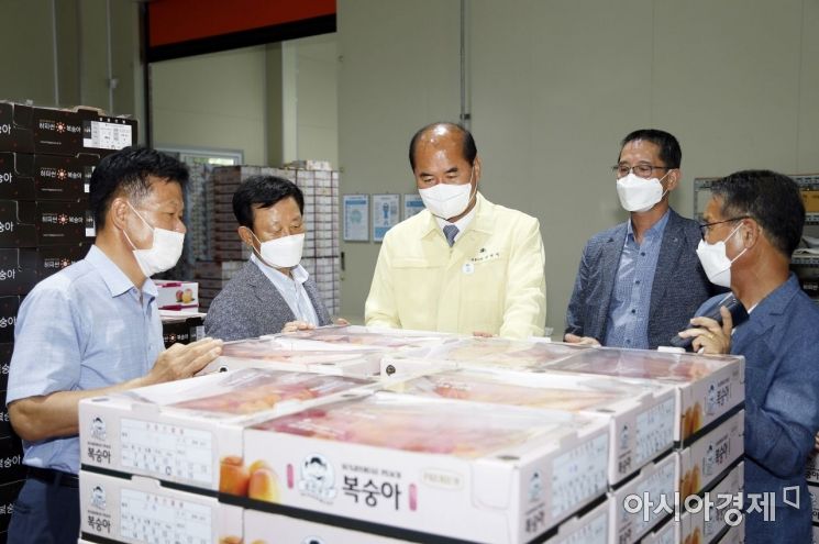 상주시, 복숭아 올해 첫 수출길 … 말레이시아 물량 300㎏