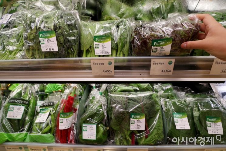 [포토]연일 폭염에 채솟값 급등 