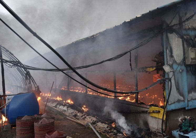 충남, 최근 5년 '축사화재 366건'…전기 과부하 등 원인