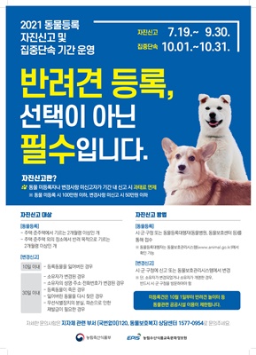반려동물 등록 자진신고 기간을 9월 말까지 운영한다. (사진=해남군 제공)