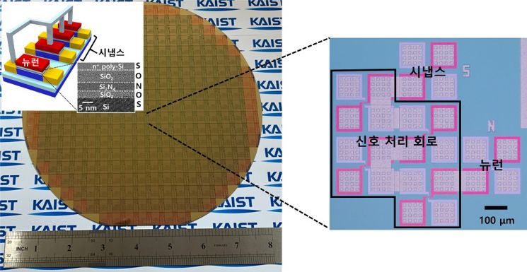 이세돌 이긴 알파고의 한계, '인공 뇌'가 넘는다[과학을읽다]