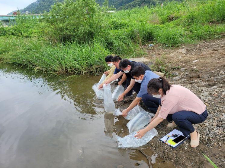 경남수산자원연구소가 지난 3일부터 4일까지 도내 강,하천에 동남참게 치게와 버들치 치어를 추가 방류했다.