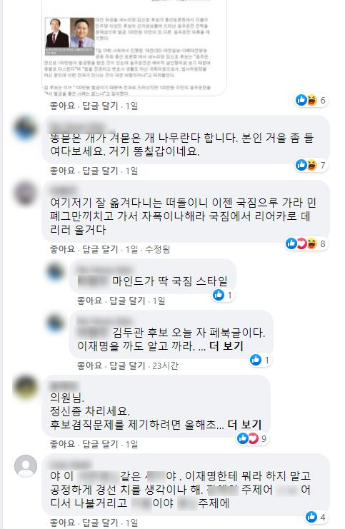 이 위원장의 페이스북 계정에 게재된 이재명 경기도지사 지지자들의 댓글 / 사진=페이스북 캡처