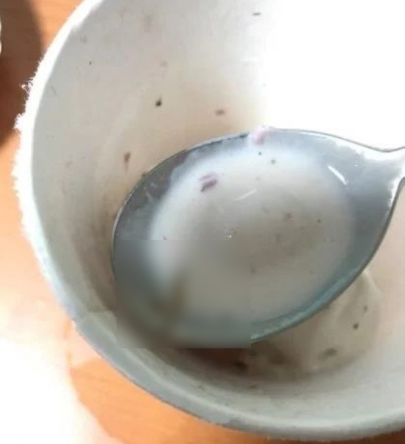 지난 2018년 하겐다즈 딸기맛 제품에서 3㎝가량의 애벌레가 발견된 모습./사진=온라인 커뮤니티