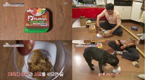 KBS 2TV ‘개는 훌륭하다’ 프로그램 캡쳐 이미지. 사진=듀먼