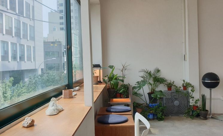 커다란 창 너머로 햇살이 쏟아지고 있다. 사진=허미담 기자 damdam@asiae.co.kr